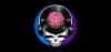 Stumble In The Dark Radio