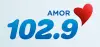 Logo for Amor 102.9