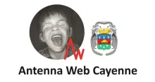 Antenna Web Cayenne