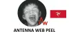 Logo for Antenna Web Peel