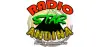 Logo for Radio Star Andina