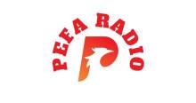 PEFA Radio