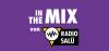 Logo for RADIO SALU in the Mix
