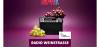 Radio Weinstrasse