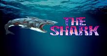 103.5 The Shark