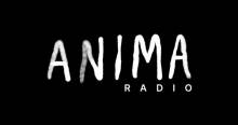 FluxFM - Anima Radio