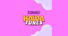 Zayan Hawa Tunes
