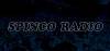 Spinco Radio