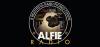 Alfie Radio