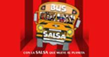 Bus Salsa