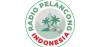 Radio Pelancong Indonesia