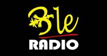 BLE Radio