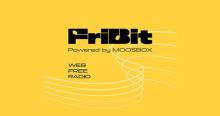 Fribit Radio