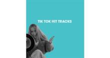 delta radio Tik Tok Hit Tracks