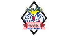 Fischtown Pinguins