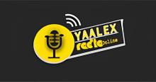 Yaalex Radio