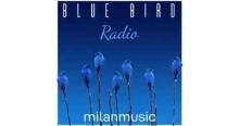 BlueBirdRadio