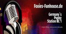 Foxies Funhouse Radio