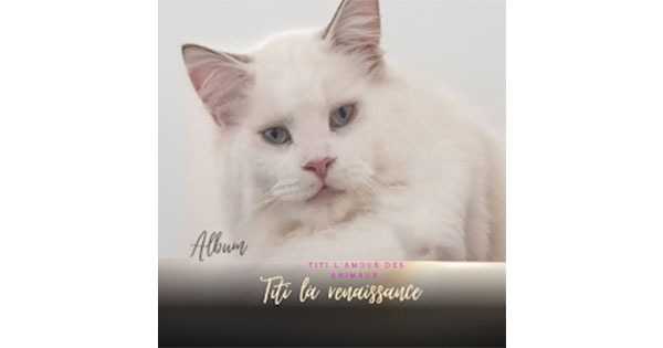 Titi l’amour des animaux