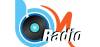 Bajo Nivel Radio