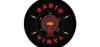 Radio Vinyl FM