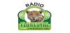Radio Florestal FM 104.9