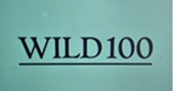 Wild 100