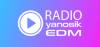 Radio Yanosik EDM Logo