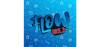 Flow 105.3 FM