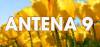 Antena 9