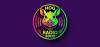 Hog Radio-2000