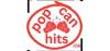 PopCanHits Logo