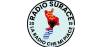 Radio Surace