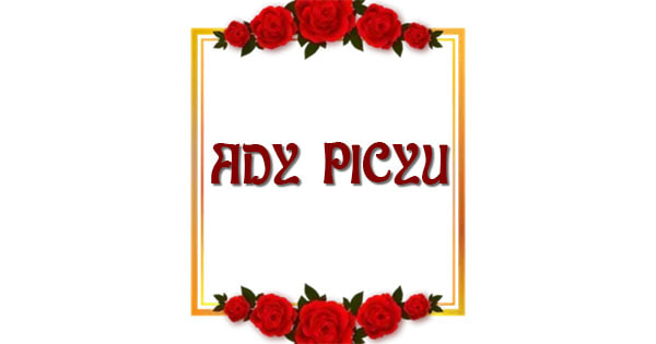 Ady Picyu