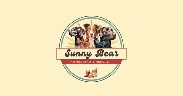 Sunny Bear Radio