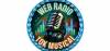 Web Radio Tok Musical