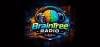 Braintree Radio
