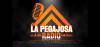 La Pegajosa Radio