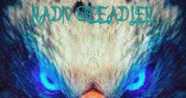 Radio Seeadler