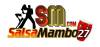 Salsa Mambo 27