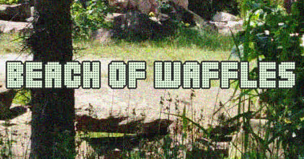 Beach Of Waffles