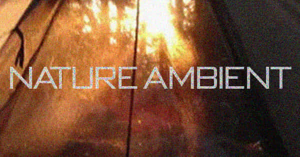 Nature Ambient