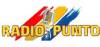 Radio Punto Disco & Dance