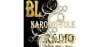 Bl Narodni Folk Radio