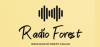 Radio Forest