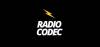 Radio Codec
