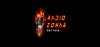 RadioZonar