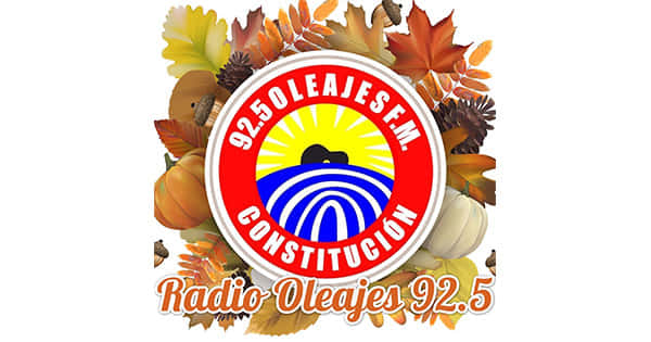 Radio Oleajes
