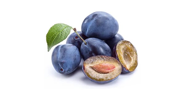 The Plum Radio