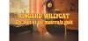 Radio Ringard Willycat